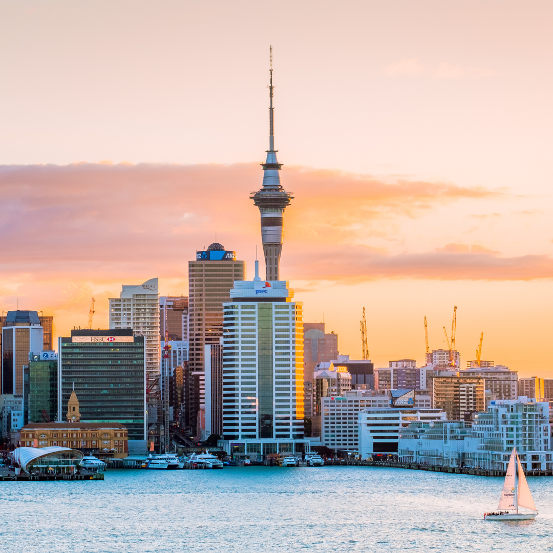 gay matchmaker new zealand