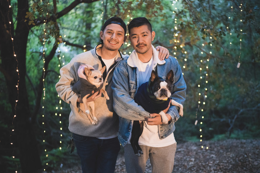 tips for choosing pet-friendly gay wedding venue